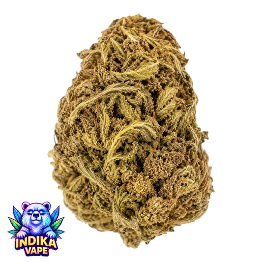 Tropical Haze CBD 10g 🎁