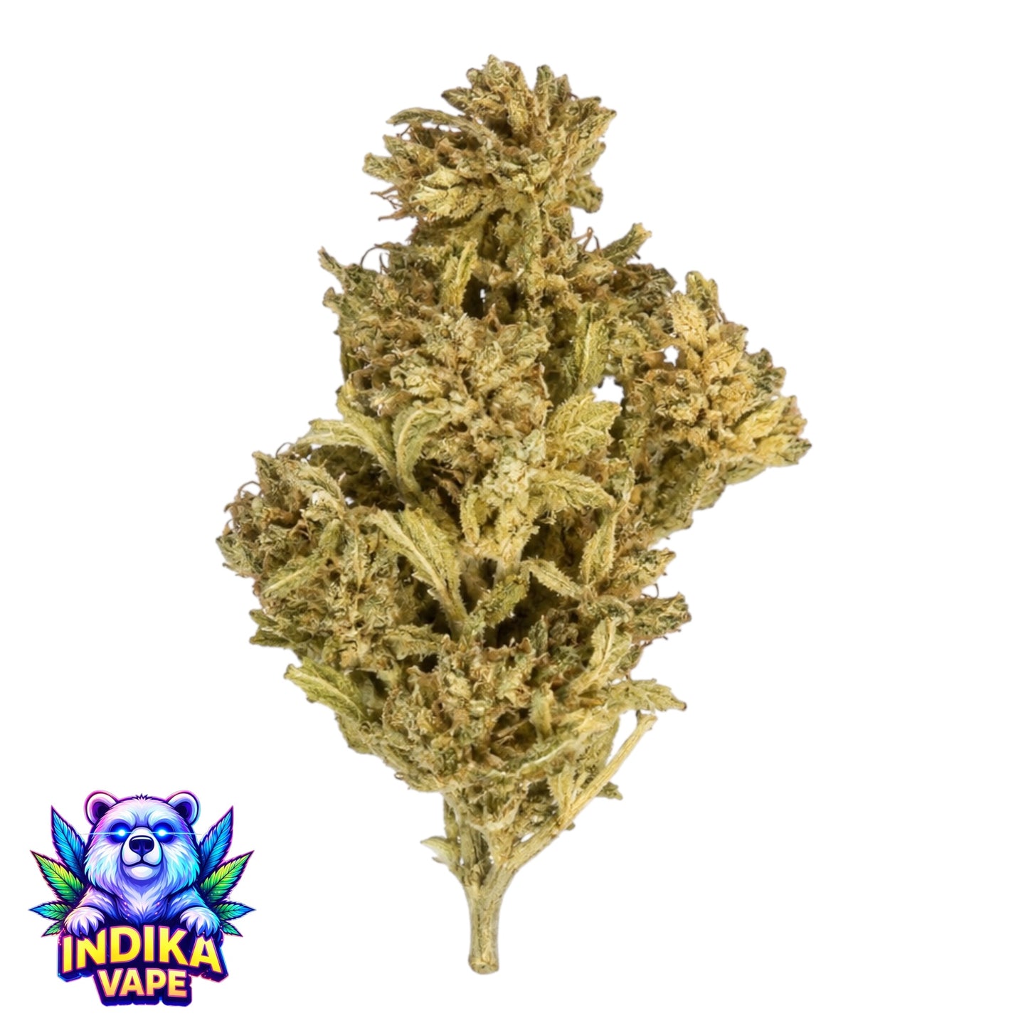 Black Lotus CBD 10g 🎁