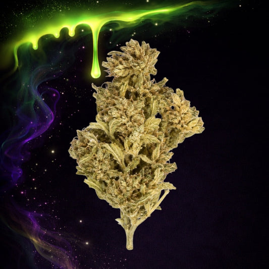 🖤 Black Lotus CBD - À partir de 0,50€/g 🌿